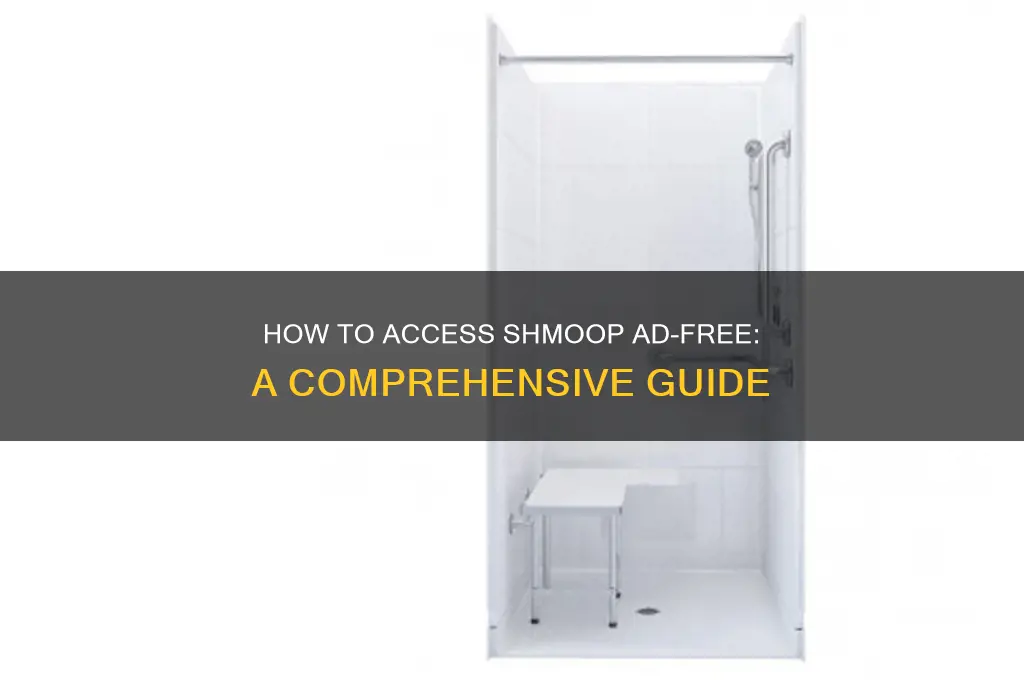 can you get shmoop without advertisements