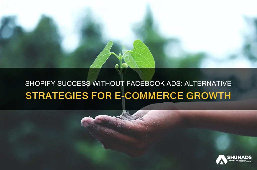 can you have a shopify store without advertising on facebook