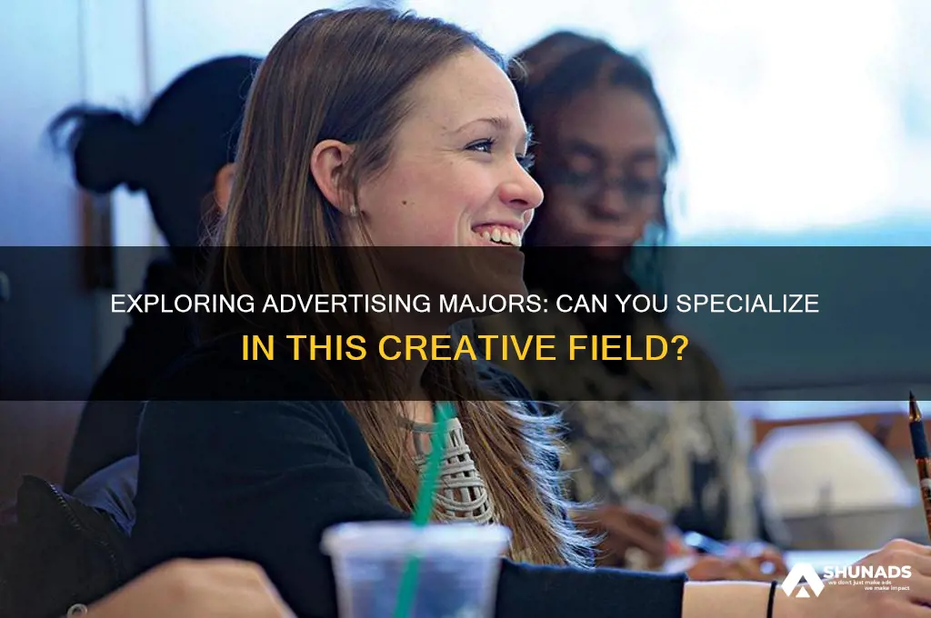 can you major in advertising