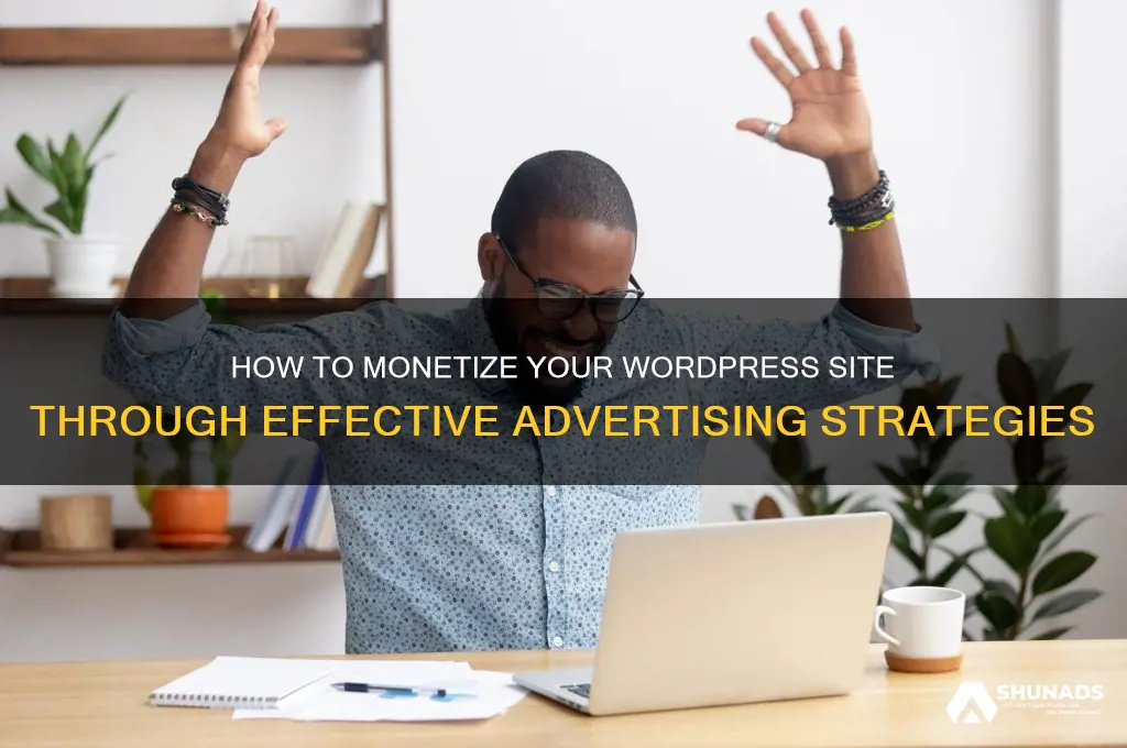 can you make money advertising on wordpress