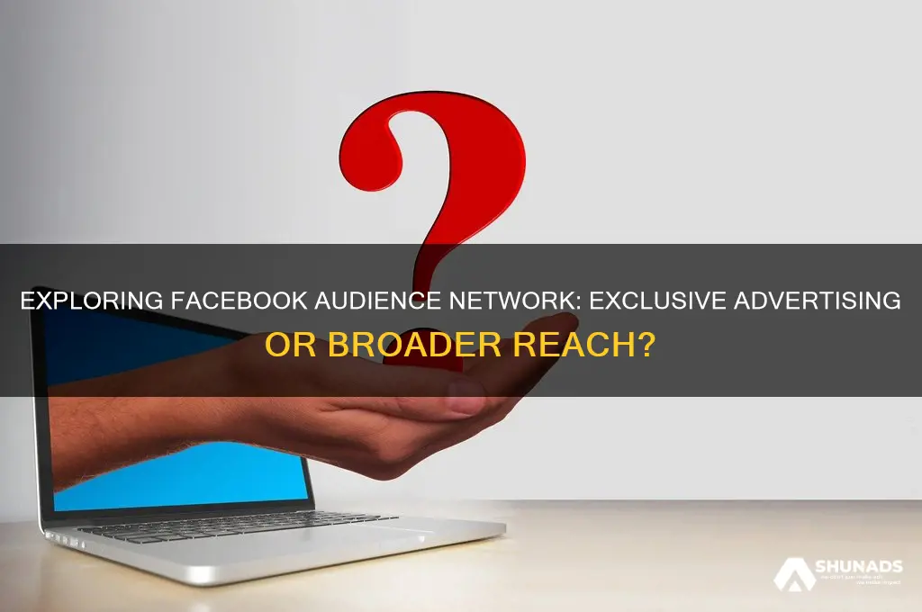 can you only advertise in audience network facebook