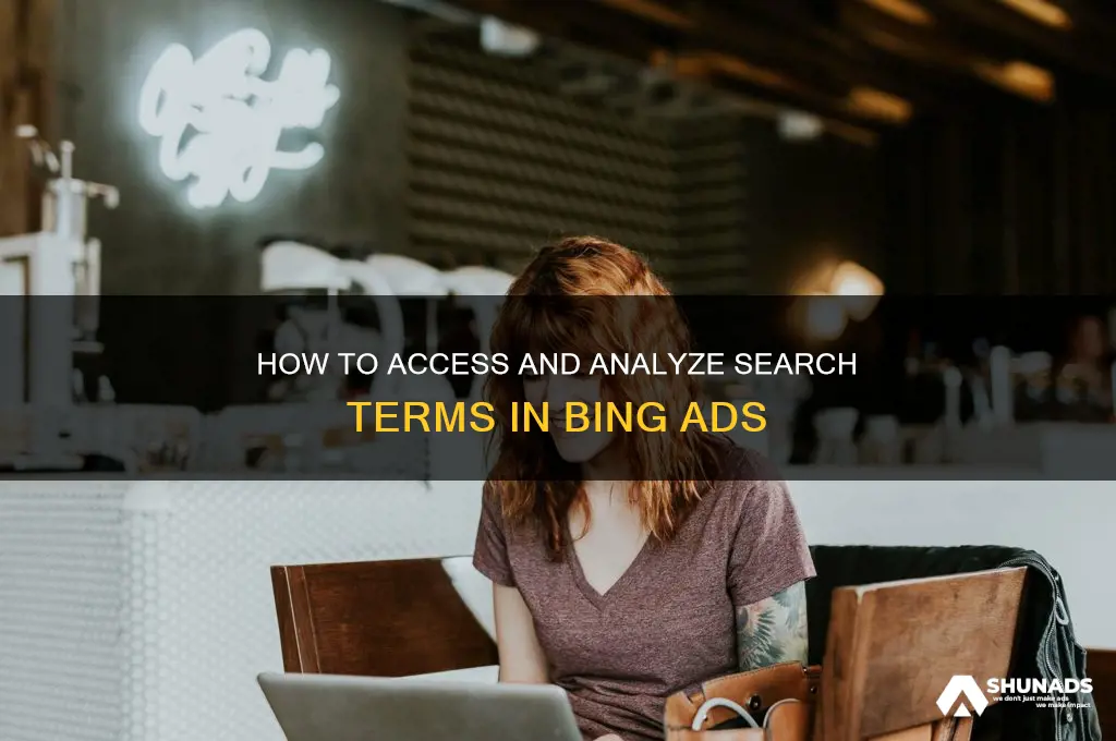 can you see search terms in bing advertising account