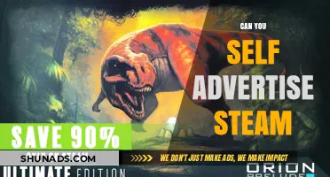 Self-Advertising on Steam: Effective Strategies for Game Developers