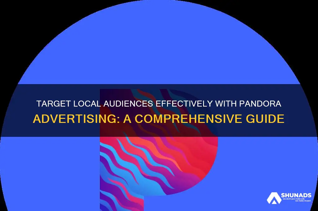 can you target a local market with pandora advertising