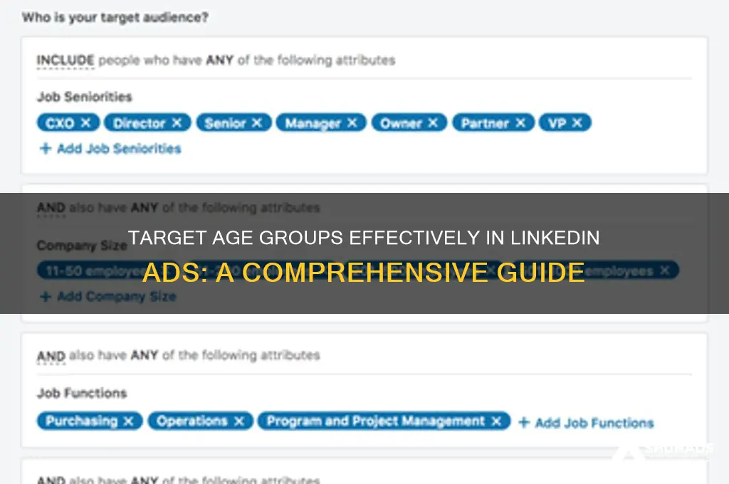 can you target age in linkedin advertising