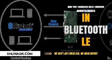 Transferring Data via Bluetooth LE Ads: Possibilities and Limitations