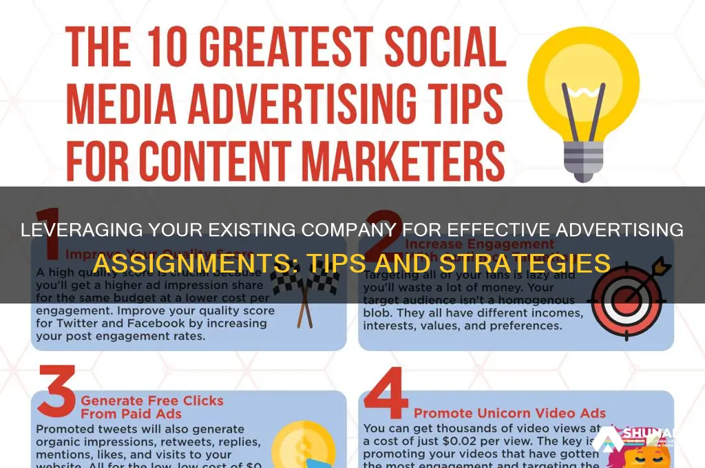 can you use existing company for advertising assignment