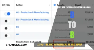 Leveraging Facebook Ads for B2B Marketing Success: Strategies and Insights