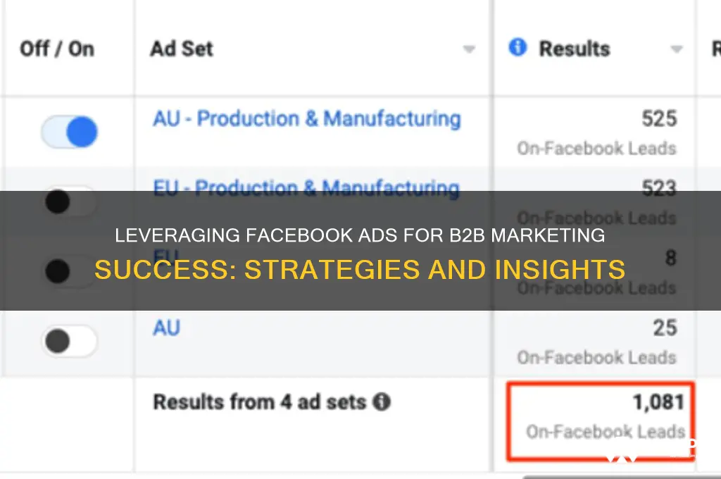can you use facebook advertising for b to b