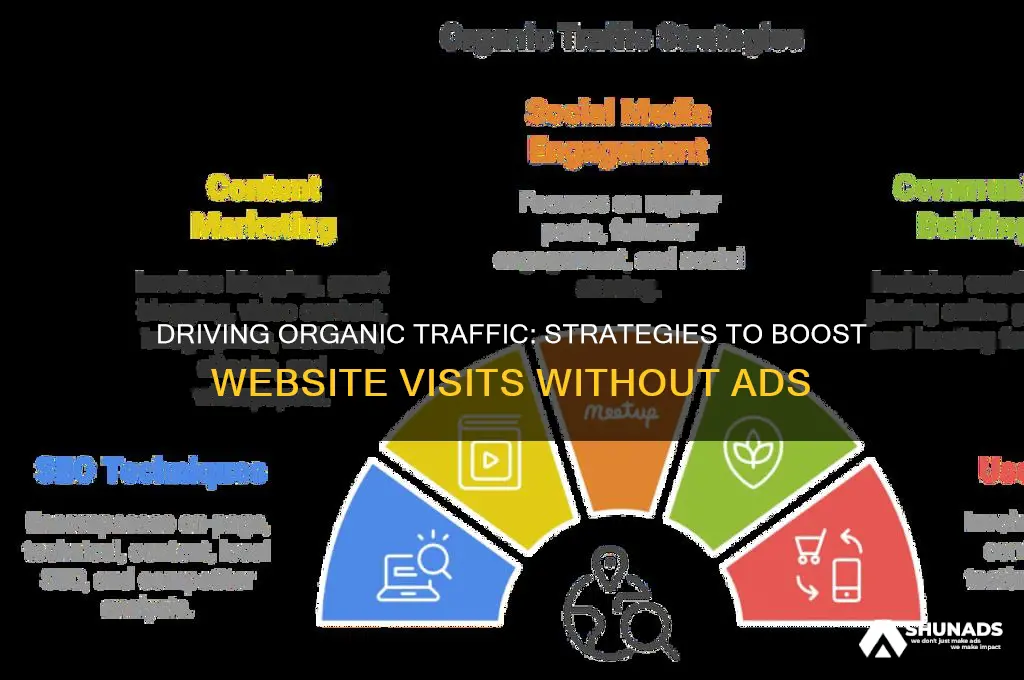 can your website get traffic without advertising