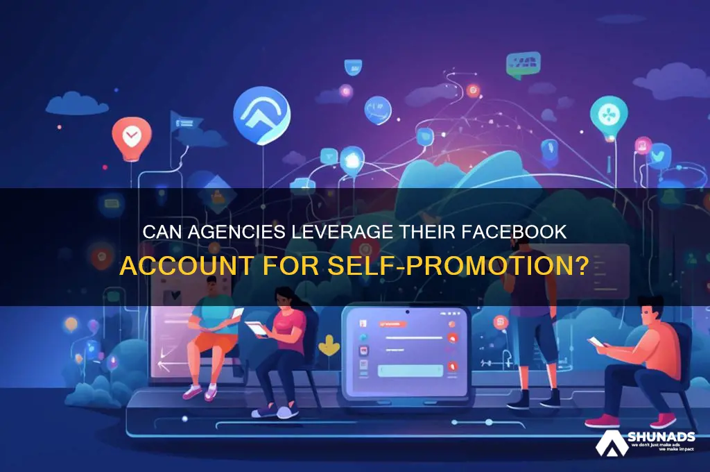 could an agency utilize their own advertising facebook account