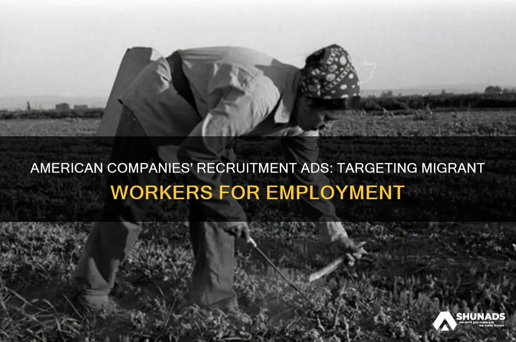 did american companies advertise for migrant workers