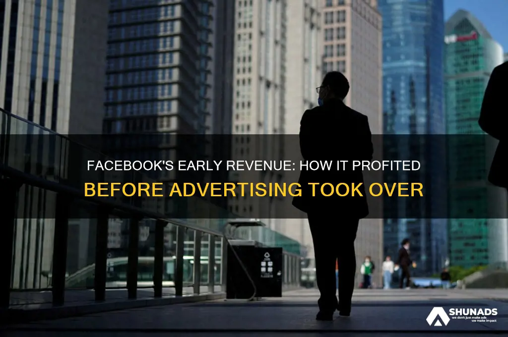 did facebook make money before advertising