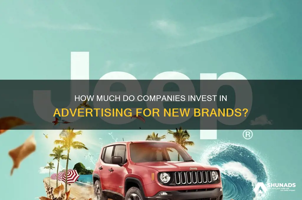 do companies typically spend more on advertising for new brands
