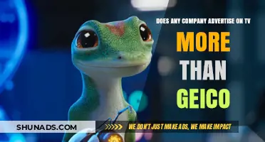 Is GEICO the Most Frequent Advertiser on TV?