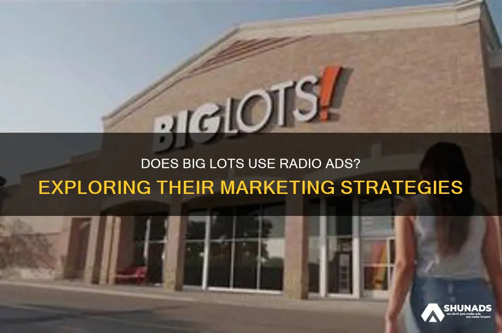 does big lots use radio for advertising