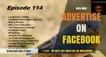 Does Bird Use Facebook Ads? Uncovering Their Social Media Strategy