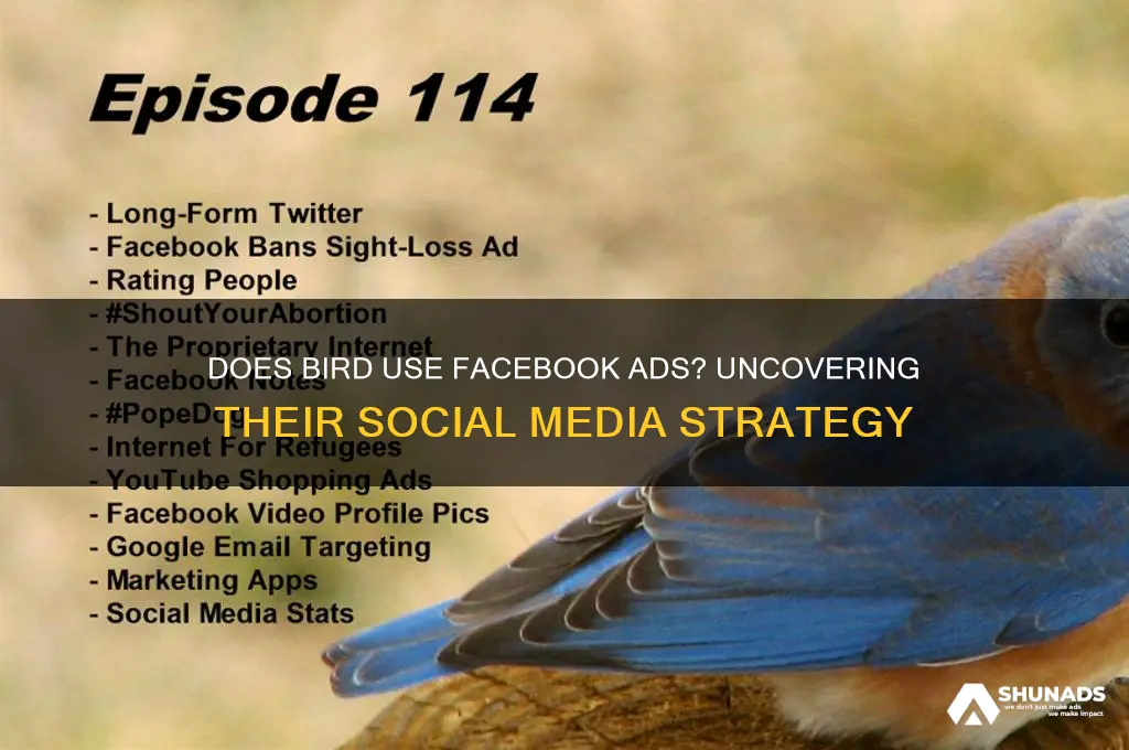does bird advertise on facebook