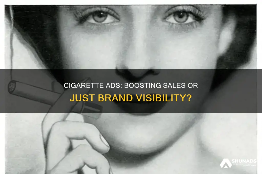 does cigarette companies advertising increase sales