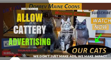 Can You Advertise Your Cattery on Facebook? Policies Explained