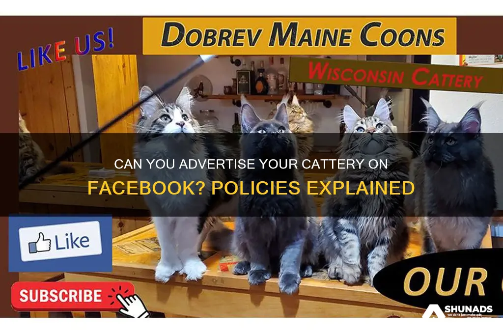 does facebook allow cattery advertising