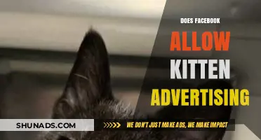 Can You Advertise Kittens on Facebook? Policies and Guidelines Explained
