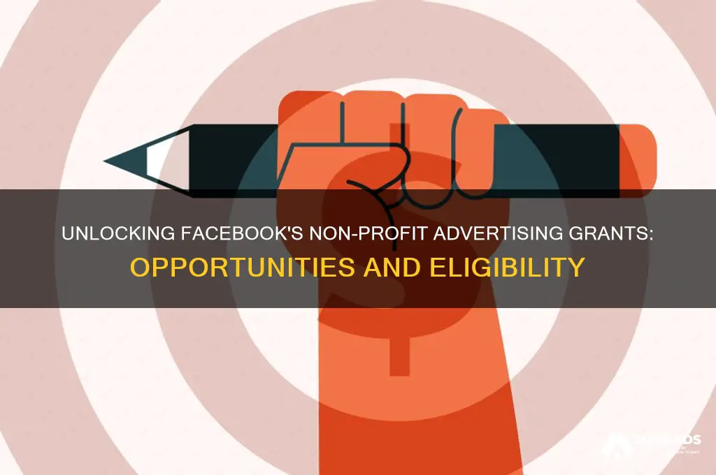does facebook offer non profit advertising grants