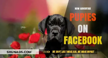 Effective Facebook Strategies to Advertise Puppies Responsibly and Successfully