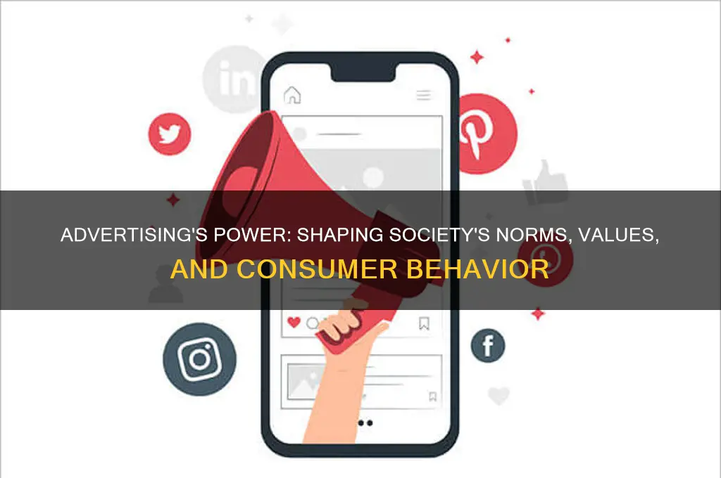 how advertising can influence the society