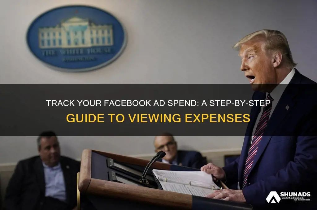how am i able to see my facebook advertising expenses