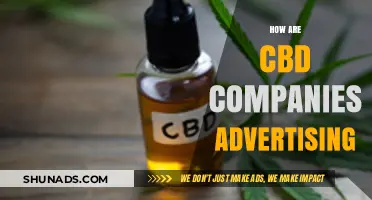 Innovative Strategies: How CBD Companies Are Advertising in a Regulated Market