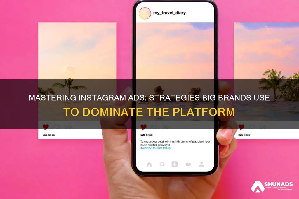 how big companies advertise on intagram