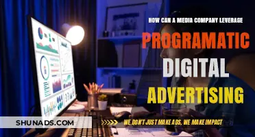 Maximizing ROI: Programmatic Digital Advertising Strategies for Media Companies