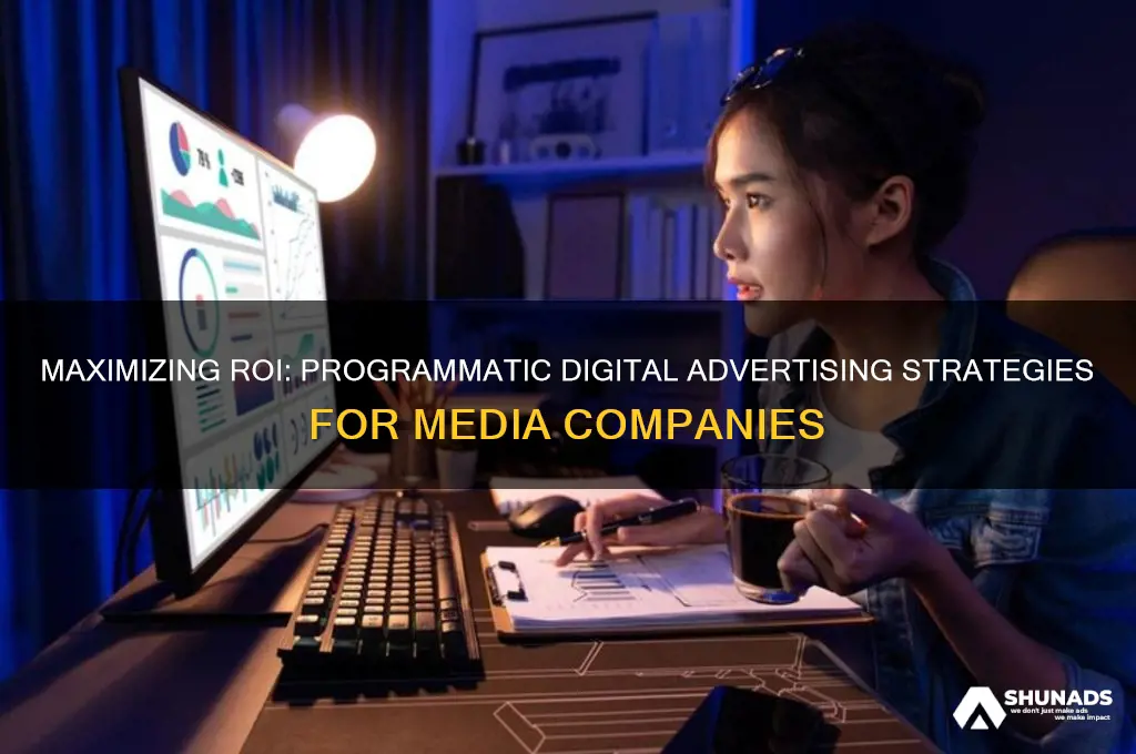 how can a media company leverage programatic digital advertising