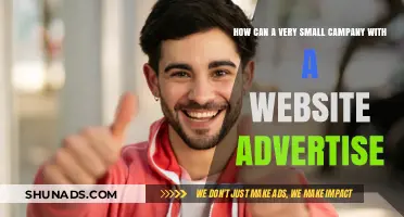 Smart Advertising Strategies for Tiny Companies with Limited Websites