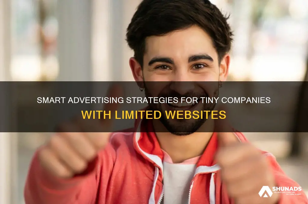 how can a very small campany with a website advertise