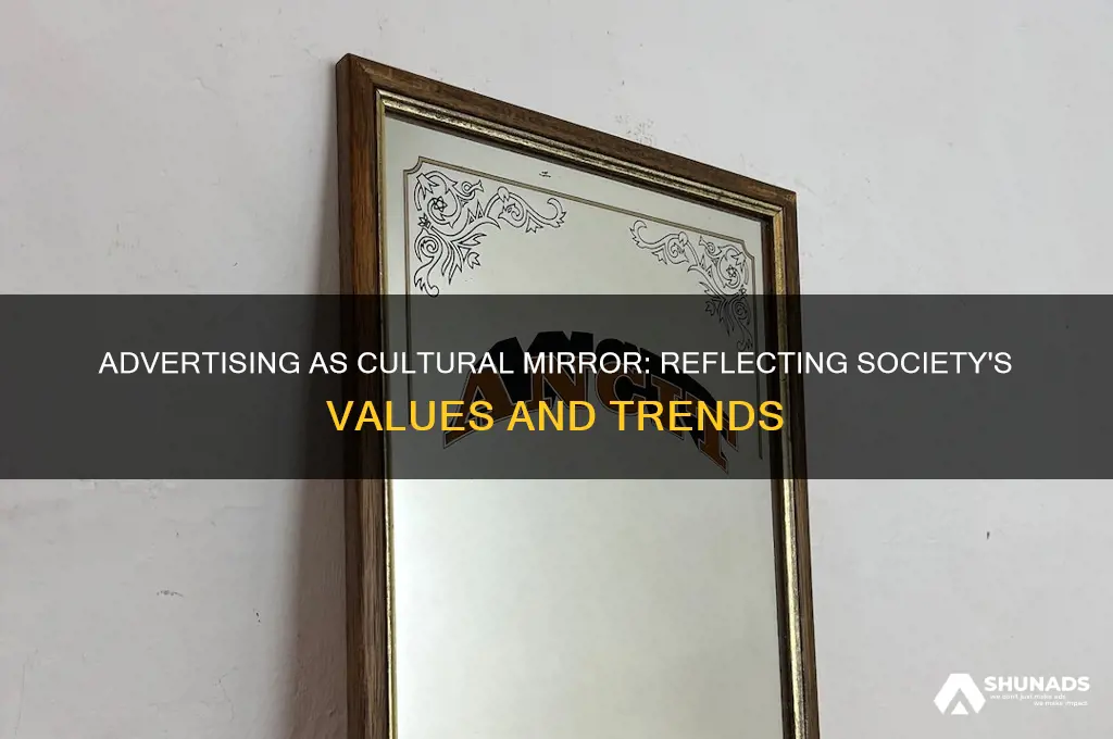how can advertisement be seen as a culture