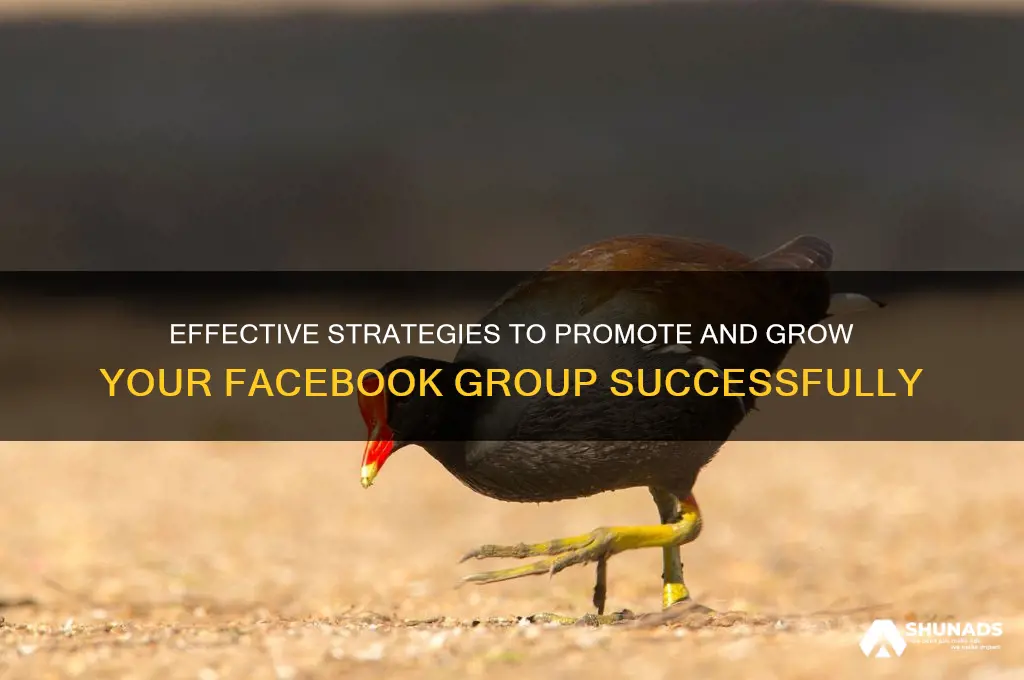 how can i advertise my facebook group