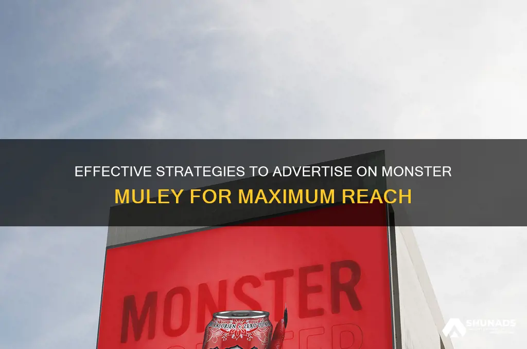 how can i advertise on monster muley