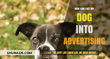 Launch Your Dog's Modeling Career: A Guide to Pet Advertising