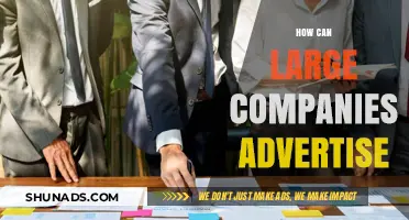 Effective Advertising Strategies for Large Companies to Dominate Markets