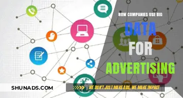 Leveraging Big Data: How Companies Revolutionize Targeted Advertising Strategies