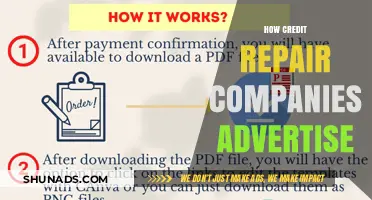 Unveiling Credit Repair Ads: Tactics, Truths, and Consumer Awareness