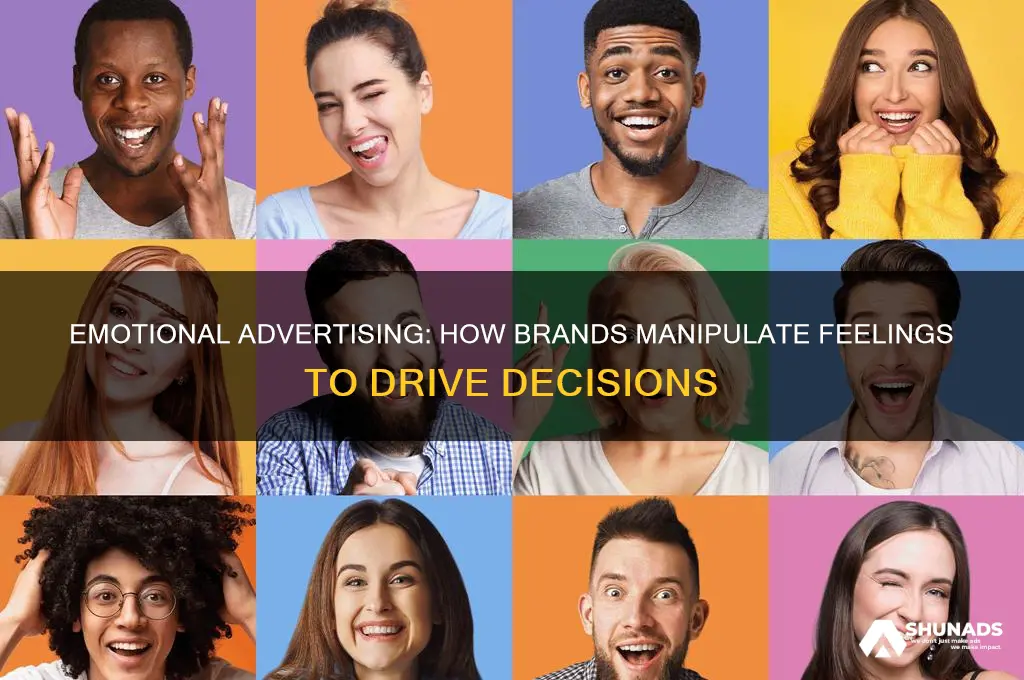 how do advertisements use emotions to influence our choices