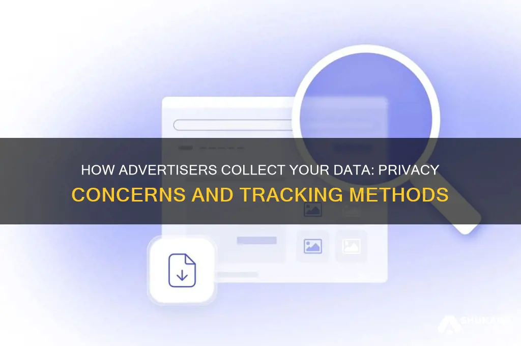 how do advertisers get my data