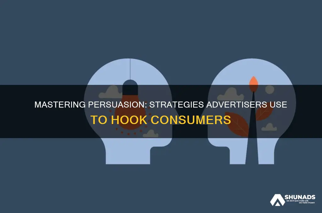 how do advertisers persuade constumers to use the product
