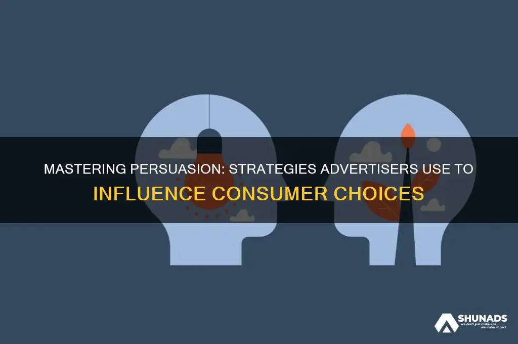how do advertisers persuade consumers to use the product