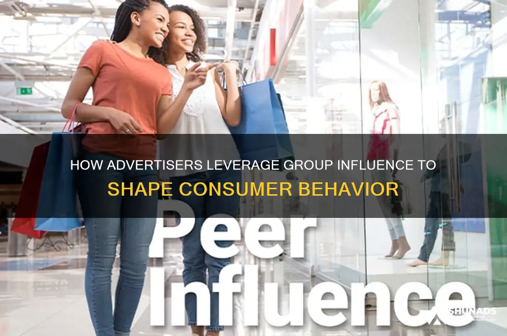 how do advertisers try to use group influence