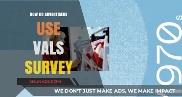 How Advertisers Leverage VALS Survey for Targeted Marketing Strategies