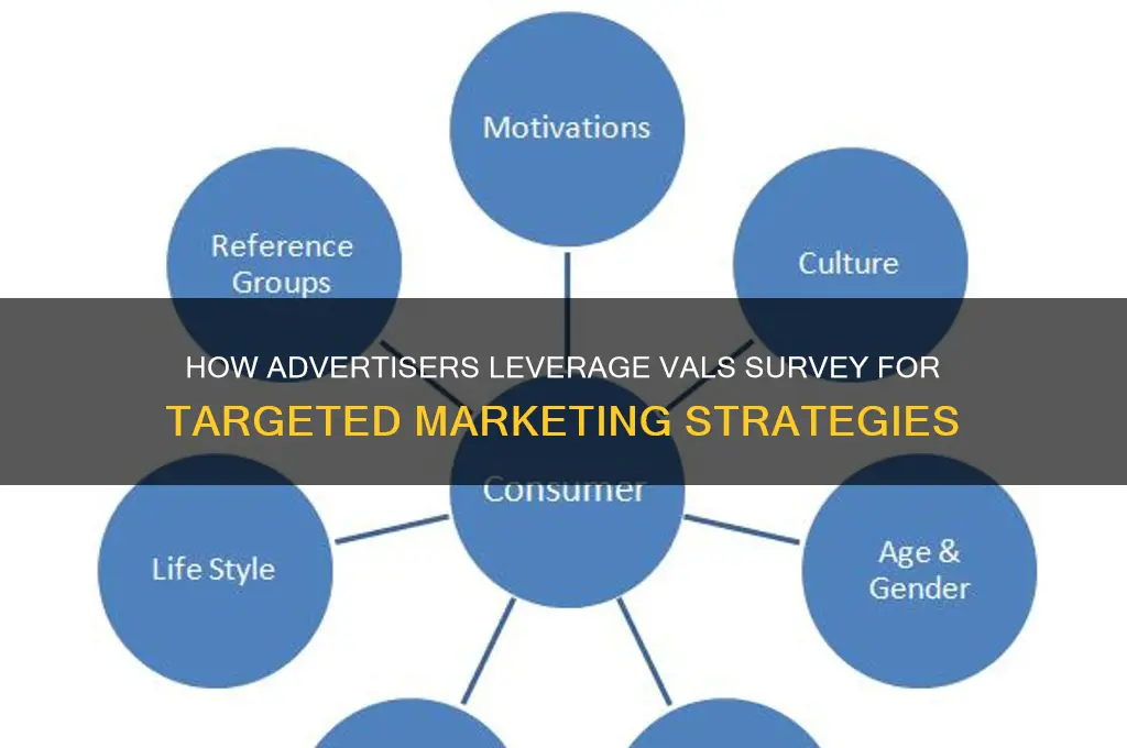 how do advertisers use vals survey